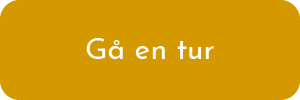 Gå en tur